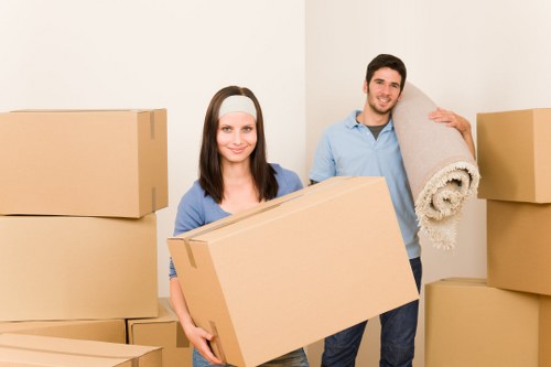 Inclusive removals information page with accessibility focus